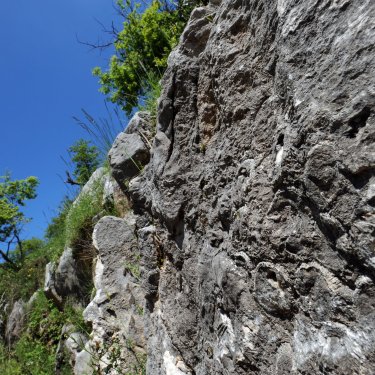 La scogliera corallina fossile di Rocca di Cave