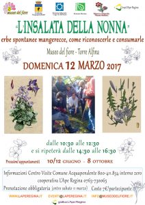 locandina_insalata_marzo_2017