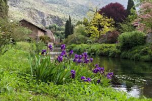 Natura e colori del giardino di Ninfa.