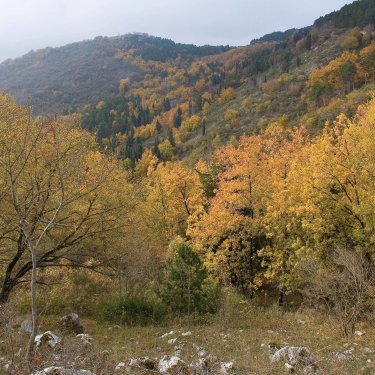 La via delle Creste