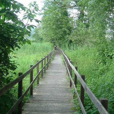 Il sentiero natura “La Fornace”