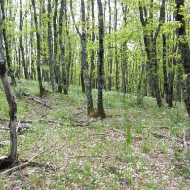 La Riserva Naturale Monte Rufeno