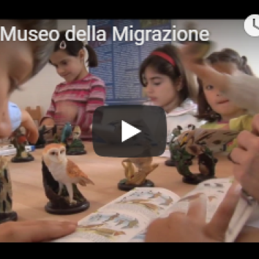 Museo della Migrazione