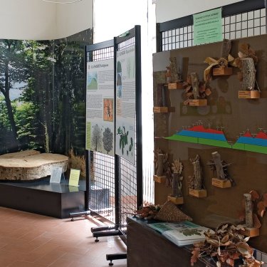 Piante, ambienti e animale dei Monti della Tolfa