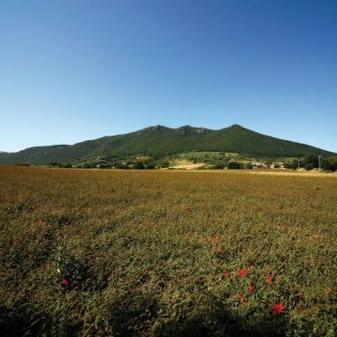 La Riserva Naturale Regionale del Monte Soratte