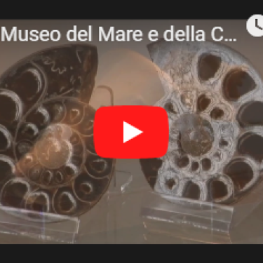 Museo del Mare e della Costa “Marcello Zei”