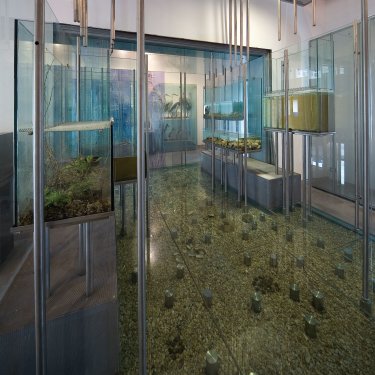 La sala degli acquari